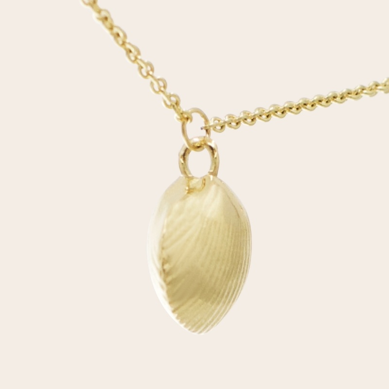 Shell
