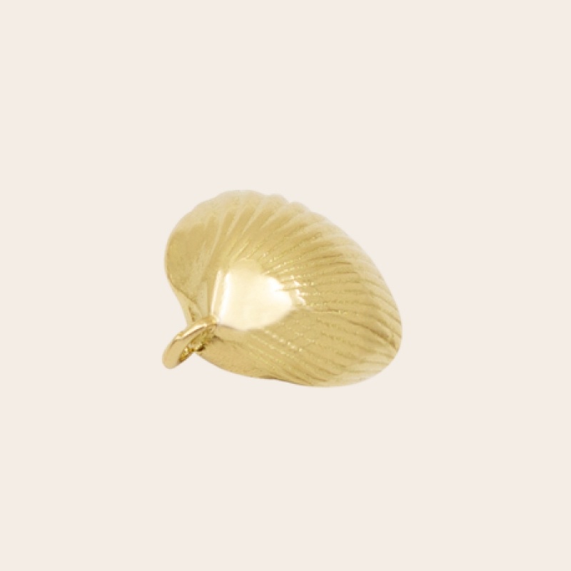 Shell