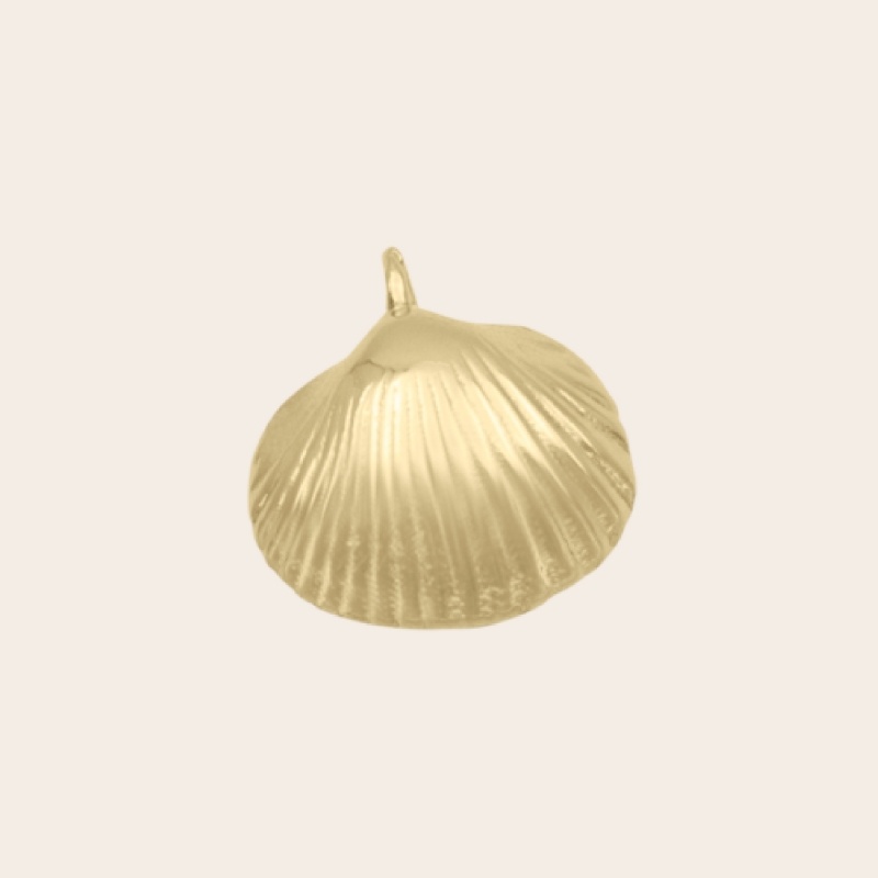 Shell